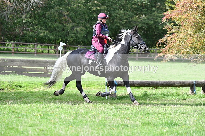 WJ5_8934 - Time 12:34 to 12:57