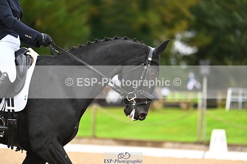 231021-115223-15003 - 343-MIDNIGHT.ROLLERCOASTER-Alison.Lidstone-DR