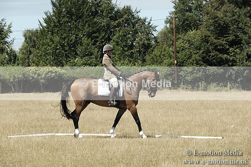 _PJP5933 - Dressage Classes BVRC Show 2018