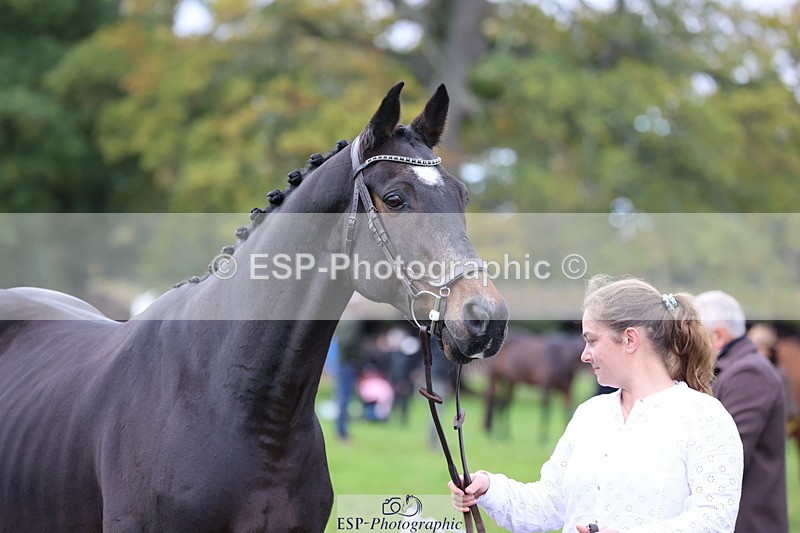 251026A-104708-23267 - F-402-Bethany.Hall