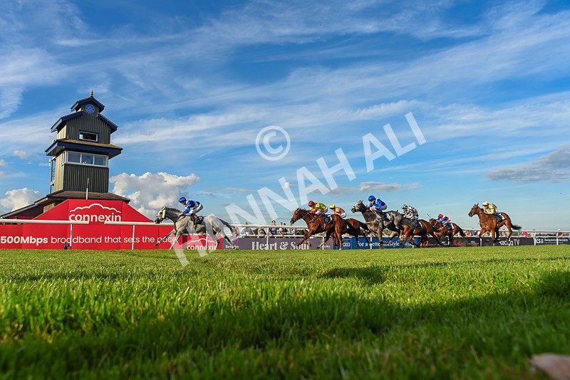 220926-Race 7-Mudamer-7976 - Race 7 5pm Fango Handicap (Div II)