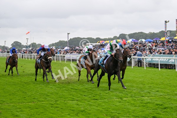 130724-Race 2-Starlust-7080 - Race 2 2.35pm John Smith's City Walls Stakes