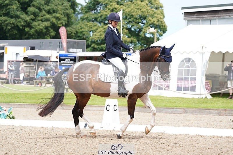 240721-113356-07837 - 124-Sophie_Savage-Two_Tone_Ted