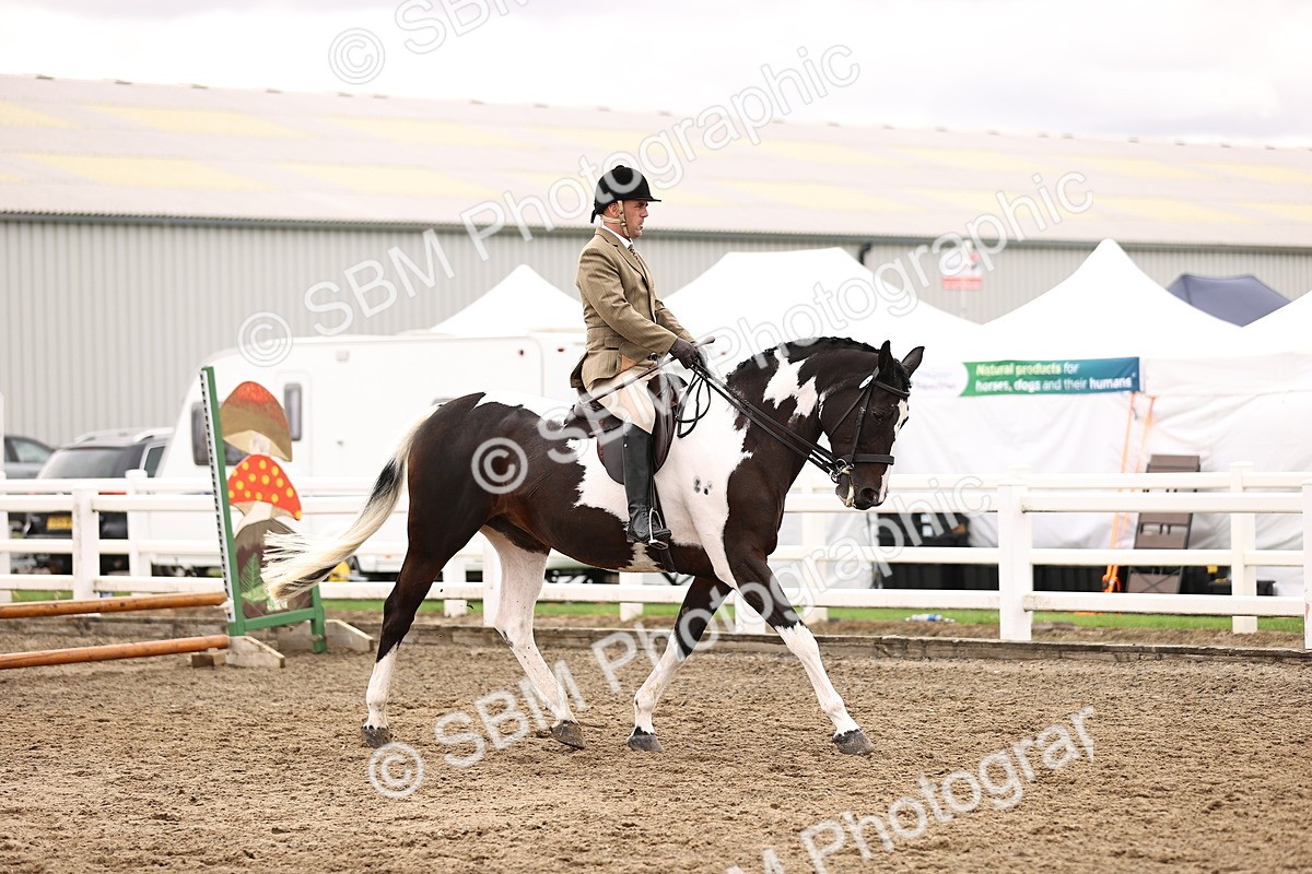 SBM_01338 - Class 54 - Riding Club Horse Pony