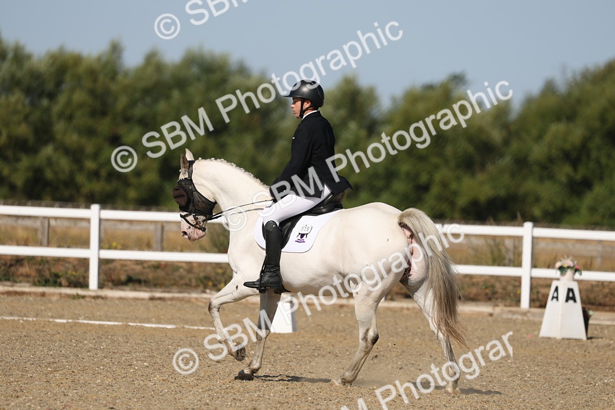 SBM_012822 - Class 1 - P5 Bronze 9.00.10.12