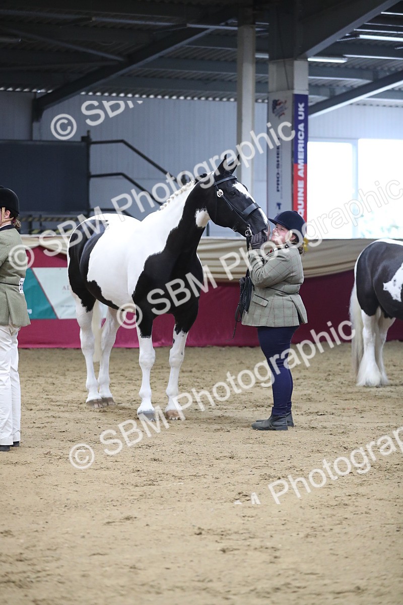 SBM_06390 - Class 9R Regional- IH Pre Vet