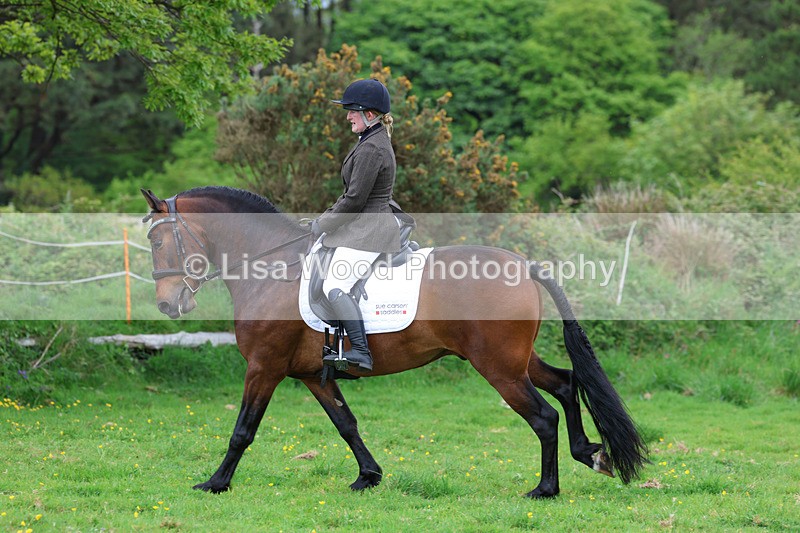 3E7A2001 - Class 10: Ridden Sports Horse