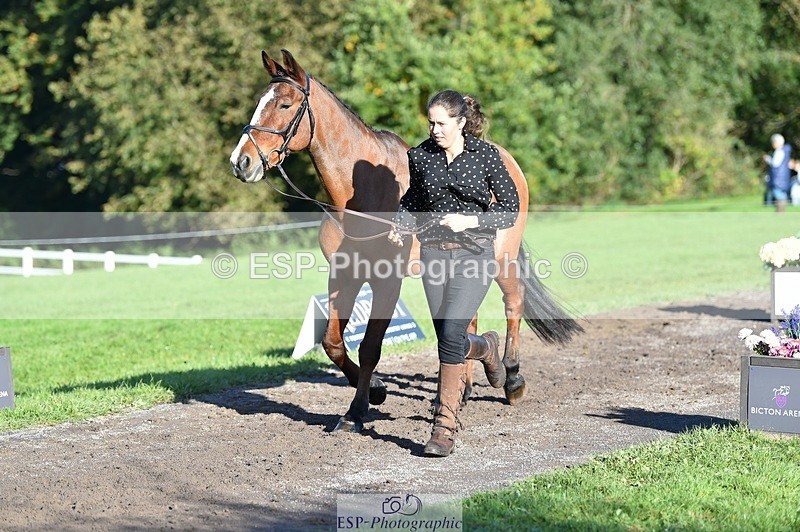 231022-101520-22347 - 470-DVΓÇÖS.ROCKY-Lauren.Collard-TrotUp+SJ