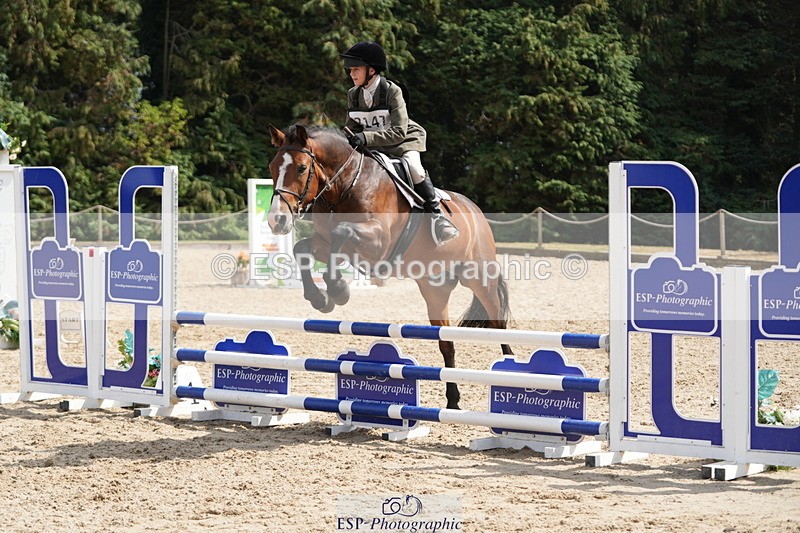 250824A-134025-37620 - 2147-George.Walford-meadow.sweet.conker