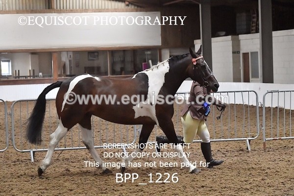 BPP_1226 - RING 2