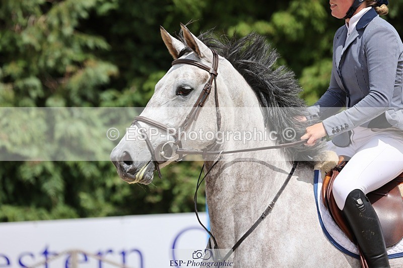 240615-144734-01978 - Cls 6 Snr Foxhunter and 1.20m Open