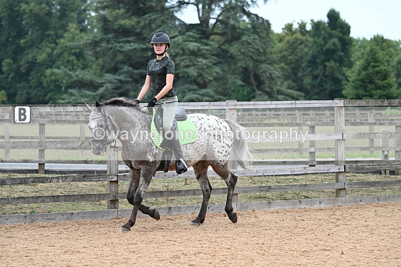 WJ7_9297 - Poles 14:00