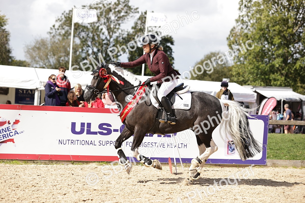 SBM_18611 - Supreme Championship