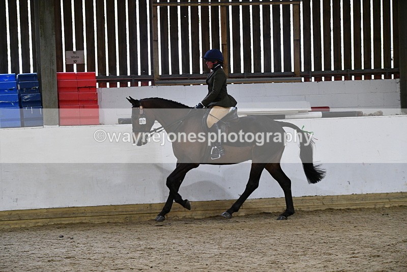 WJ5_8016 - Class 13 Ridden Part Breed