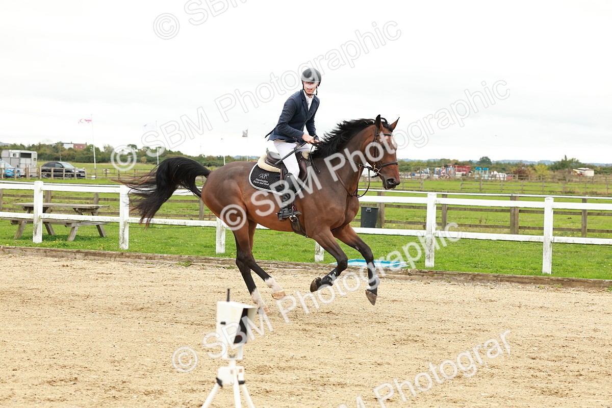 1I0A7022 - Class 2 - Senior British Novice