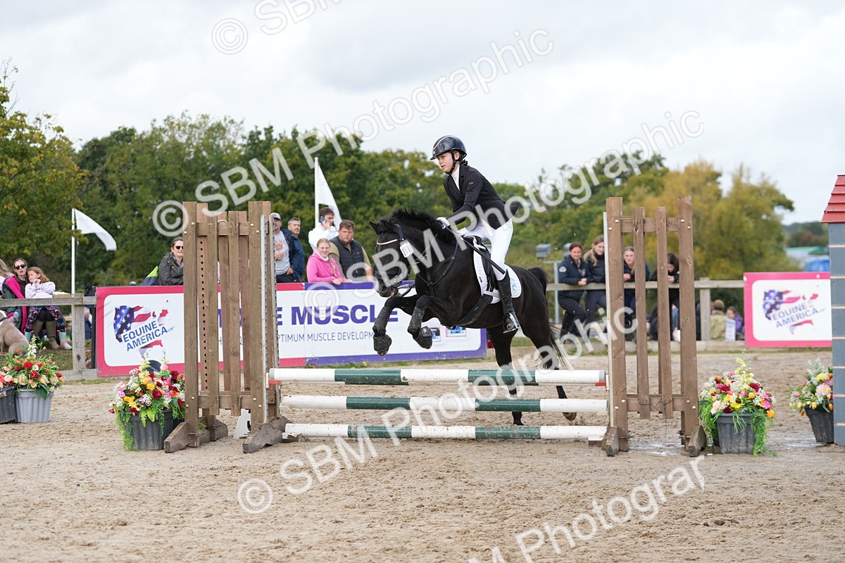 SBM_40834 - Supreme championship 50cm 55cm