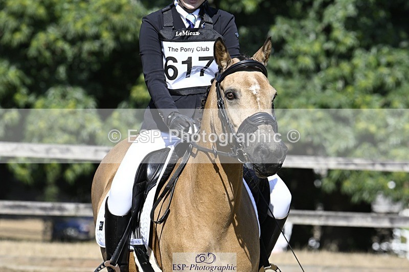 250822A-102541-20232 - DR 10.00 to 11.00