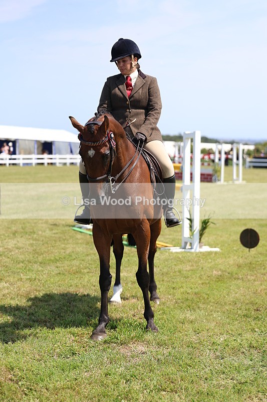 3E7A9435 - Class 12: Open Racehorse to Show Horse