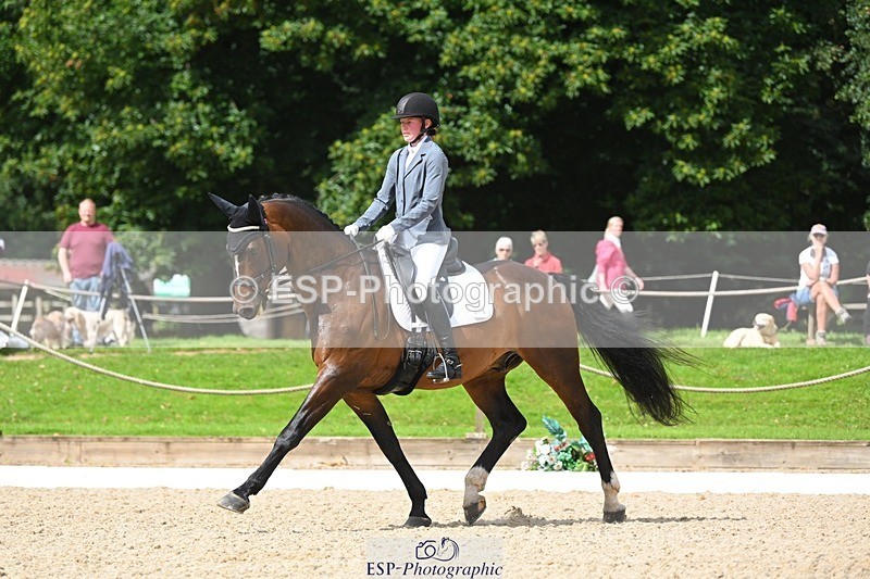 230813-111440-06540 - Cls 12 Elem Silver 10.35 to End