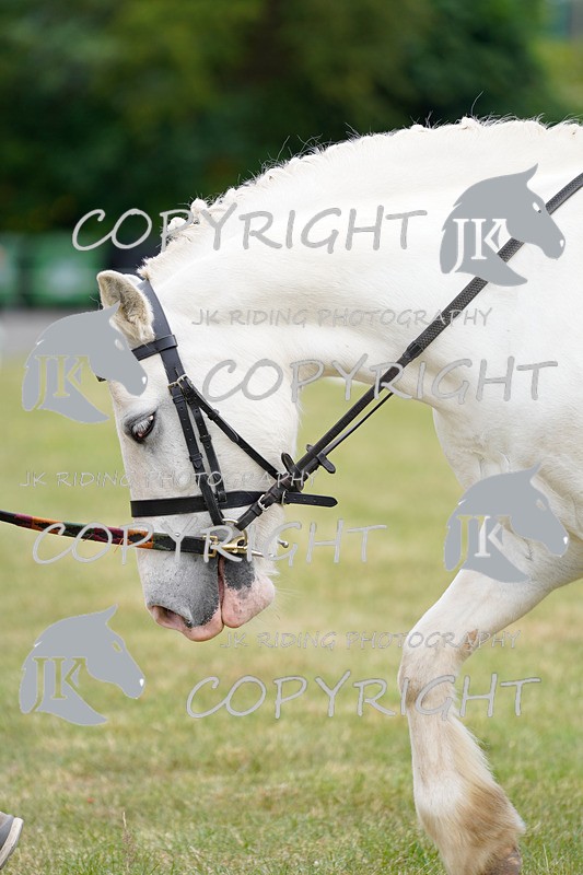 _DSC0453 - CLASS 1 INTRO 1