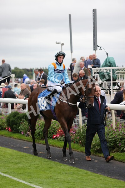 yr18082021r7-3 - Race 7 5.20pm Sky Bet Nursery Handicap