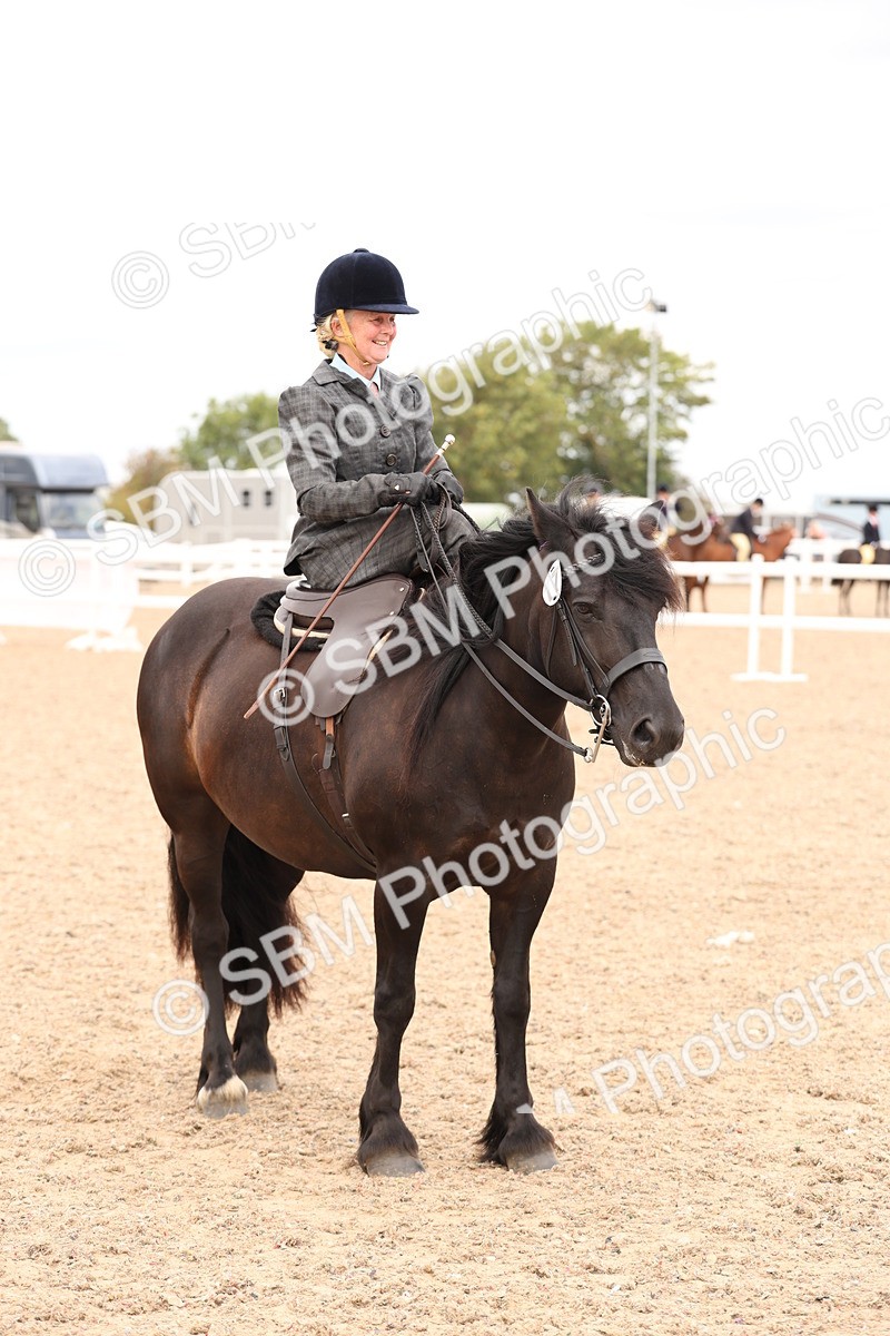 SBM_16427 - Class 211 - Best Side Saddle Horse - Pony