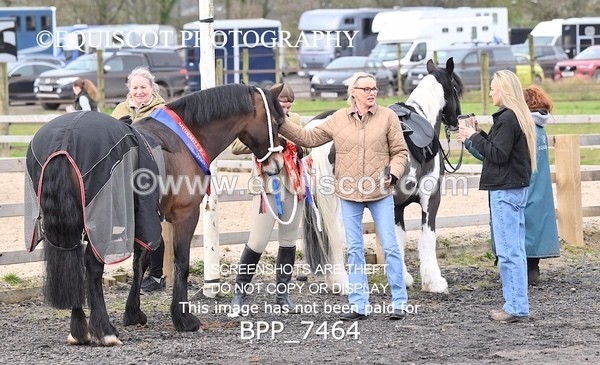 BPP_7464 - RING 1  (RIDDEN HORSES / IN HAND / VETERAN ETC)