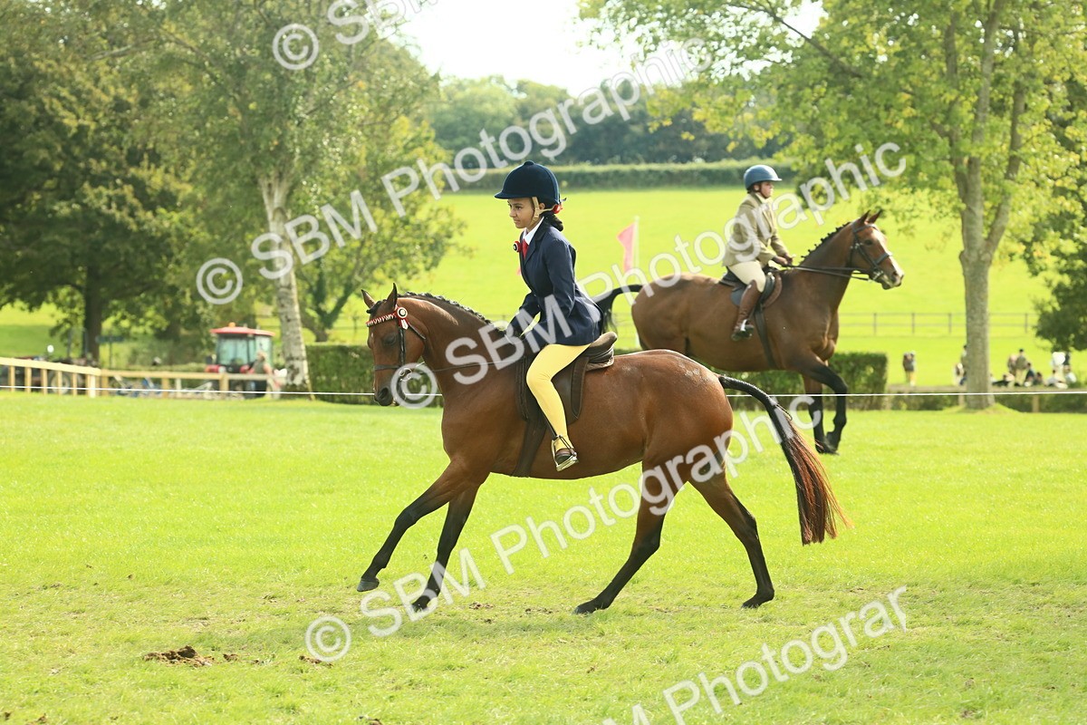 SBM_68094 - S57 - Part Bred Pony Ridden