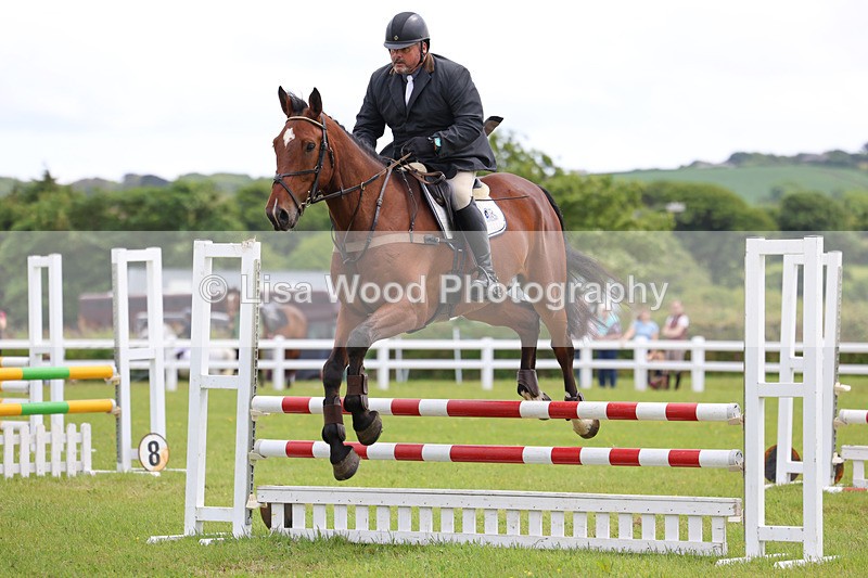 3E7A7180 - Class 13: Senior British Novice/90cm open