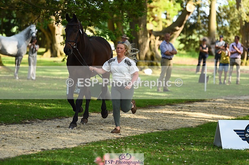 230524-171954-01437 - 178-RIDIRE_DORCHA-Lucy_Stimson-WEDTrotUp+DR