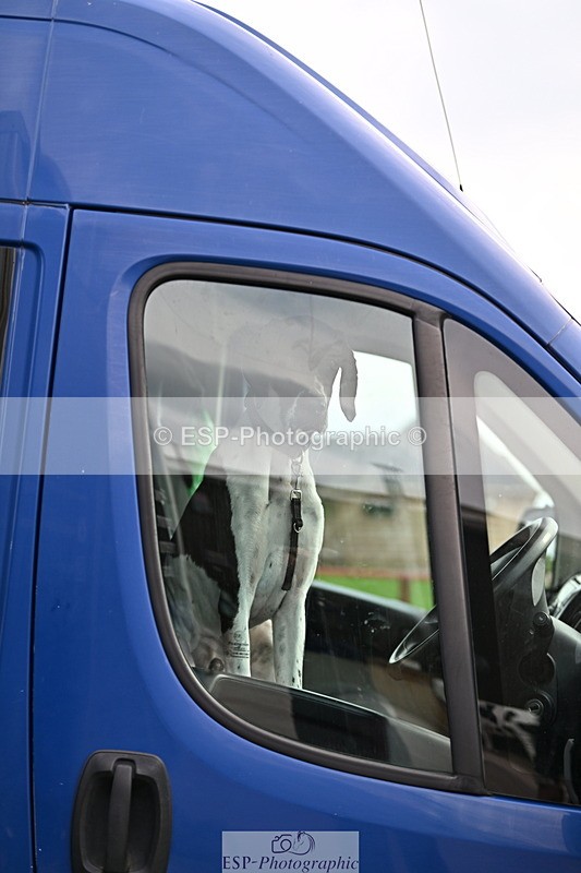 241004A-141601-02487 - Fri 11 1.10m amateur Quals