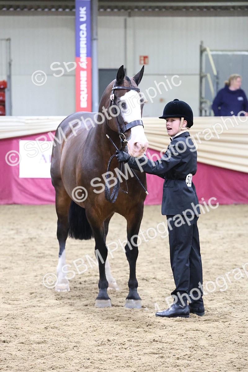 SBM_20057 - Class B - Junior Champ 11yr to 16 Years