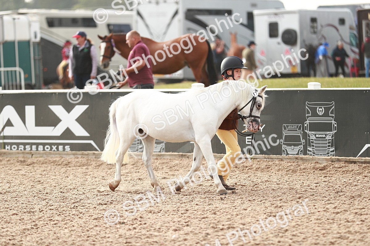 SBM_09850 - Class 203 Young Handler, 10 years and under