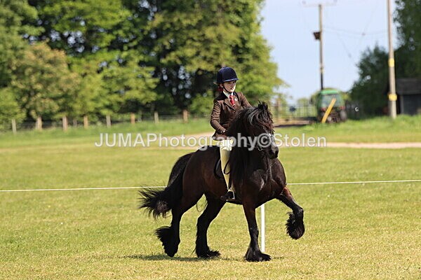 IMG_4399 - Working Hunter