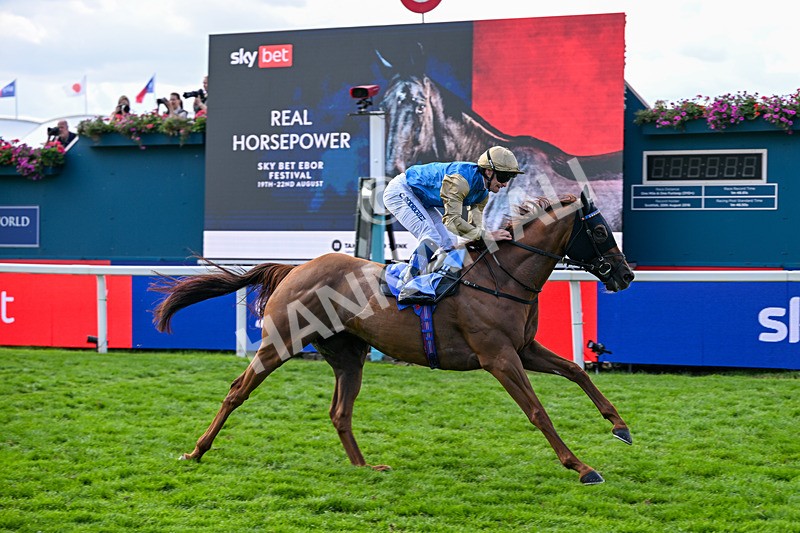 220826-Race 1-Archivist-9257 - Race 1 13.50pm Sky Bet Strensall Stakes