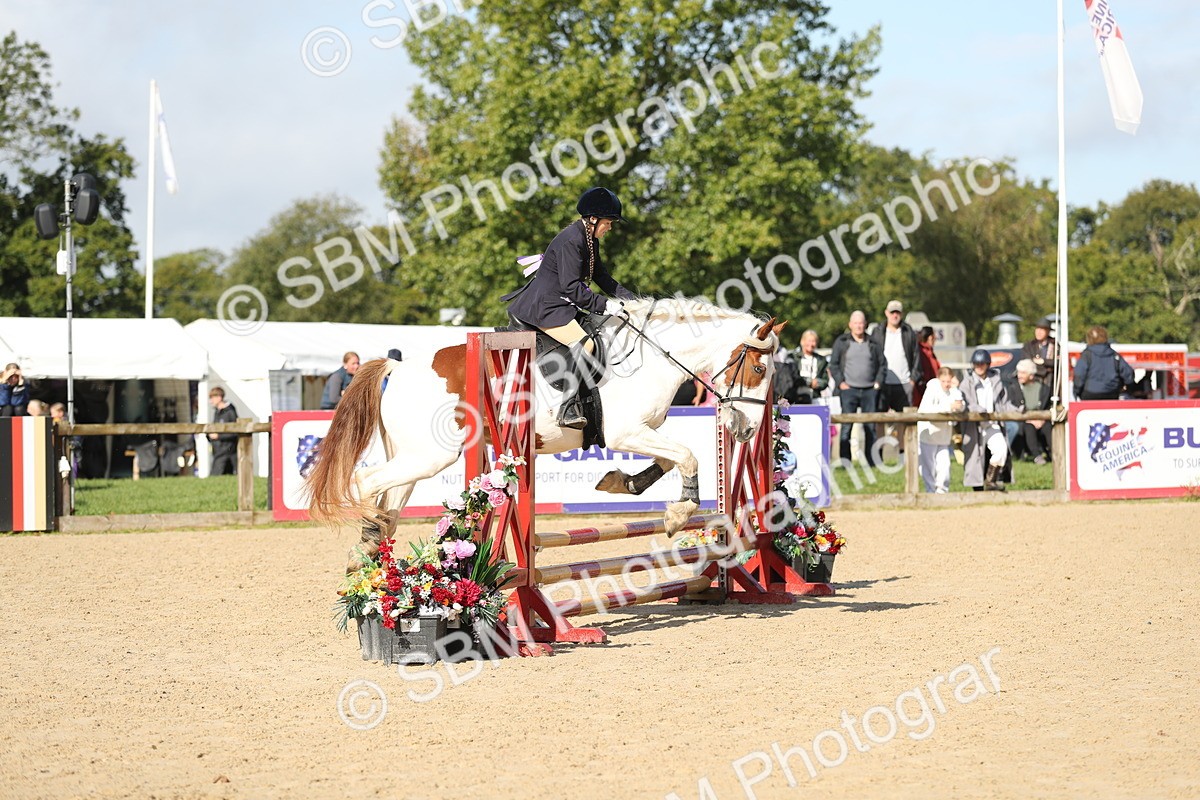 SBM_40187 - J21 - Junior Horse 60cm Championship