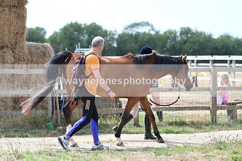 WJ7_1923 - In Hand