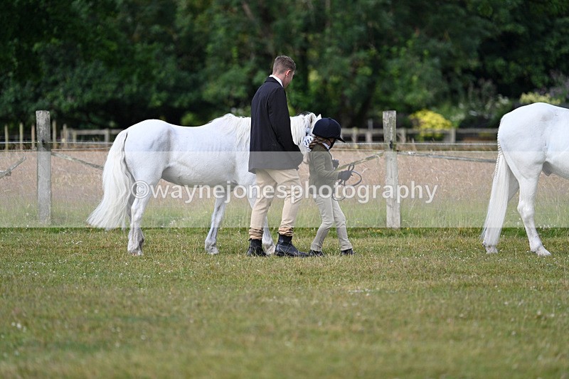 WJ7_4475 - Class 1 Lead Rein Pony