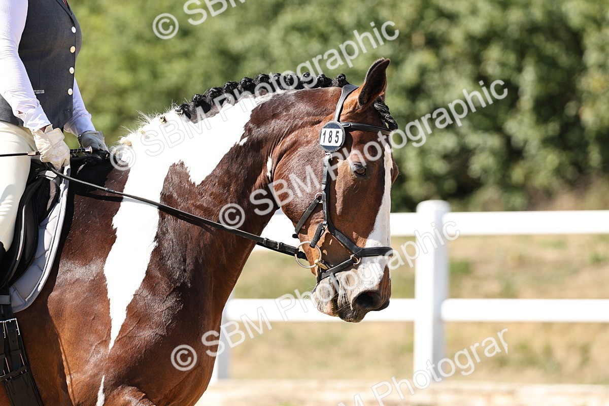 SBM_003396 - Prelim 4 - 13.41-16.04