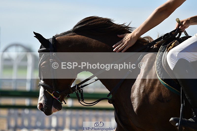 230903A-110340-04090 - Cls 18 Pony Brit Novice & 80cm Open