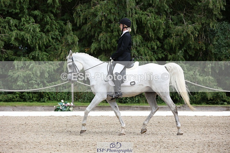 230812-151957-05111 - Cls 5 Novice Bronze 15.00 to End