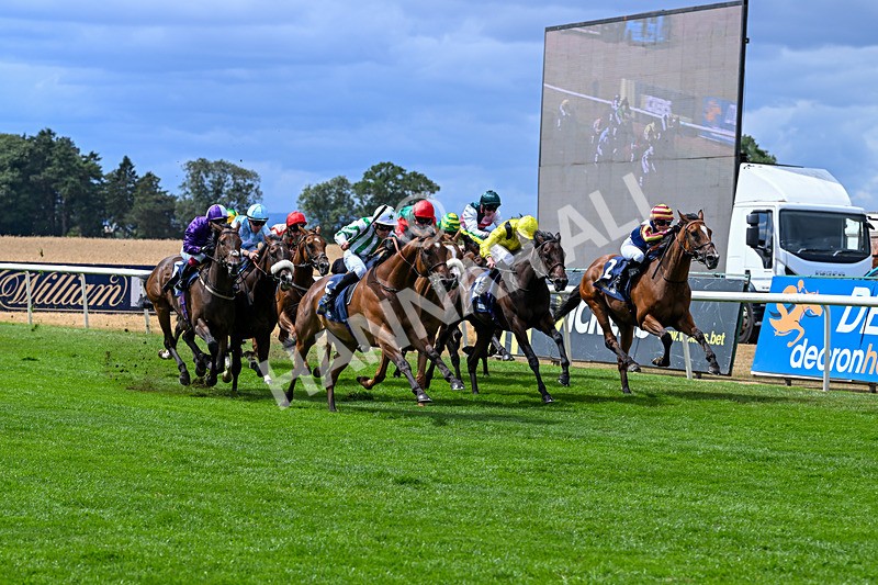 010826-Race 2-Witch Hunter-2255 - Race 2 14.08pm William Hill Summer Cup Handicap