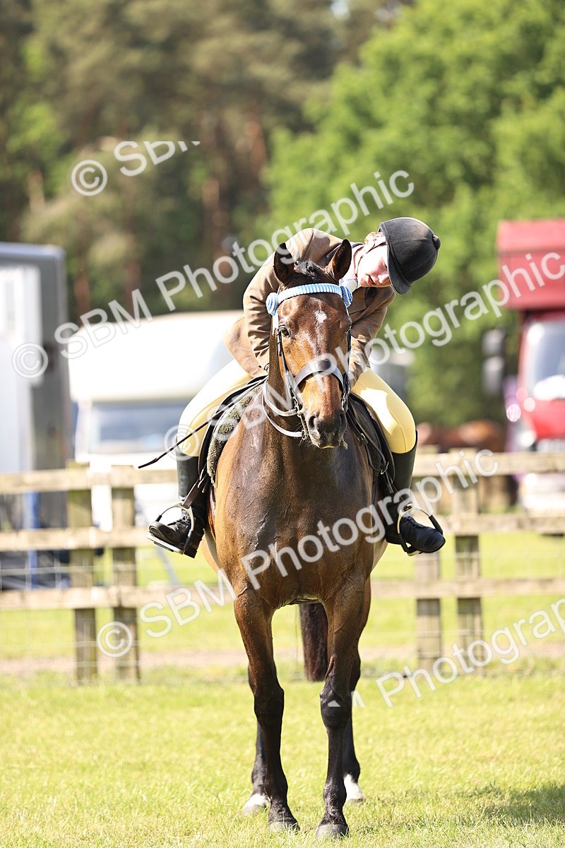 SBM_12947 - Class 75-76 LIHS BSHA Rising Star Hack Riding Horse