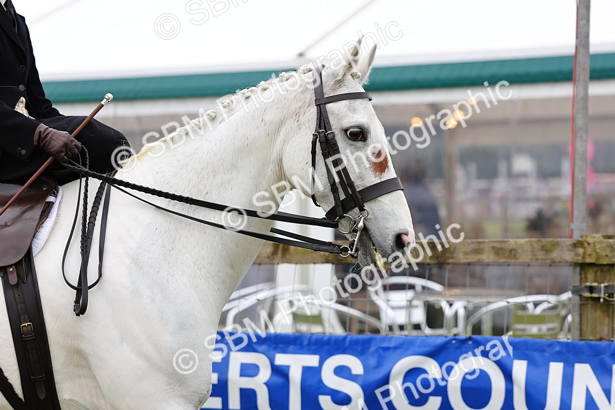 SBM_02686 - Class 9-11 Side Saddle including LIHS Rising Star Ladies Show Horse