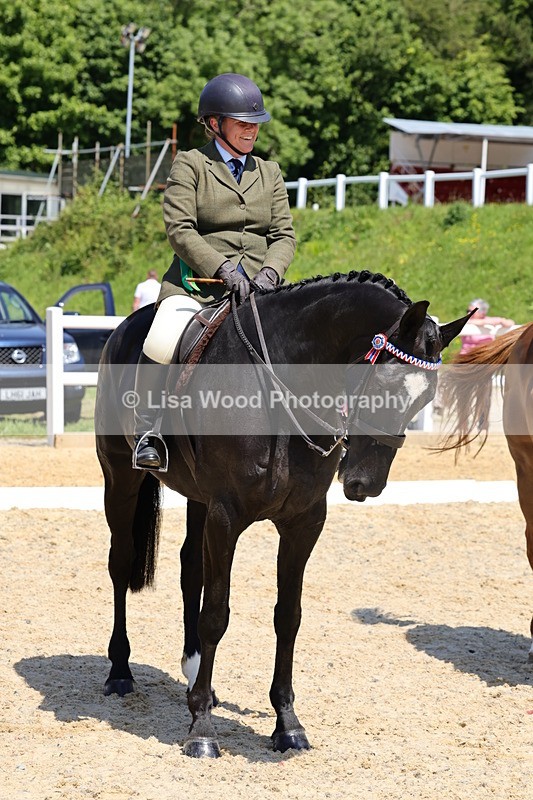 1X9A1926 - Class 12: Ridden Riding Horse/Hack