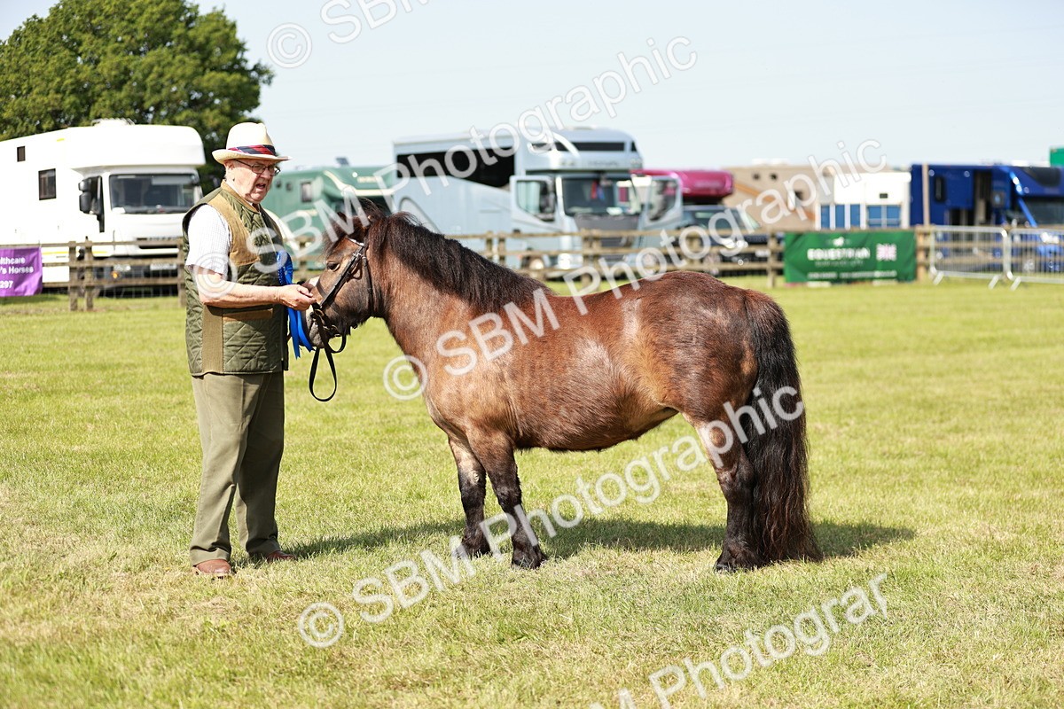 SBM_01856 - Class 14-23 - Mountain & Moorland In Hand Non Welsh