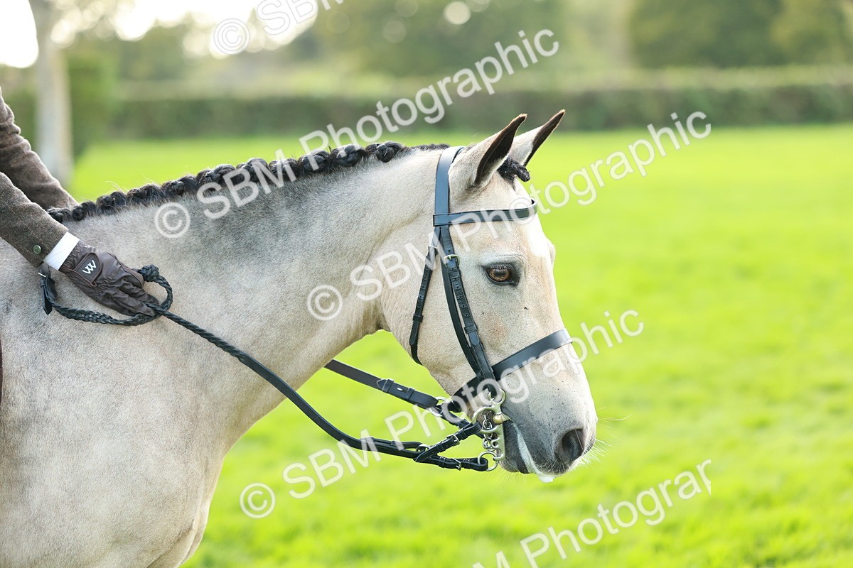 SBM_28831 - S7 - Novice & Newcomer Ridden Pony