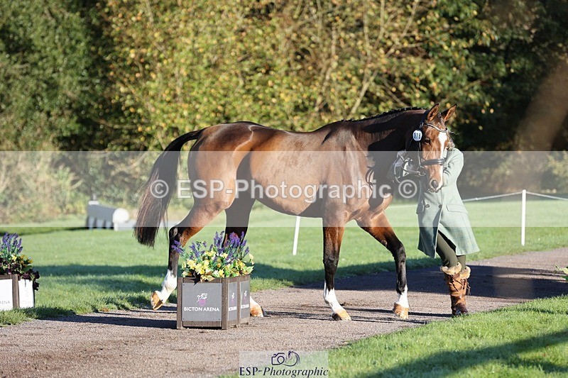 241027-083725-14698 - 378-Fern.Hordern-SHES.ALL.THAT