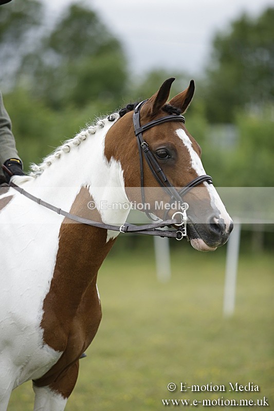 BVR160717-2133 - Ridden Championship 16/07/17