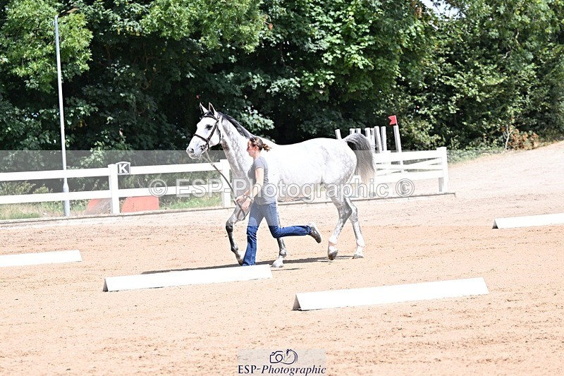 250716-124122-00112 - Trot Up 12.30 to 1.30